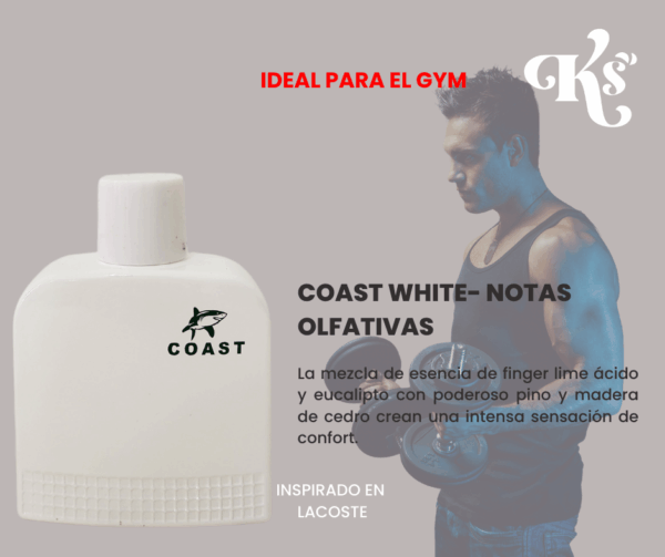 Trío inspirado en Lacoste - Image 4